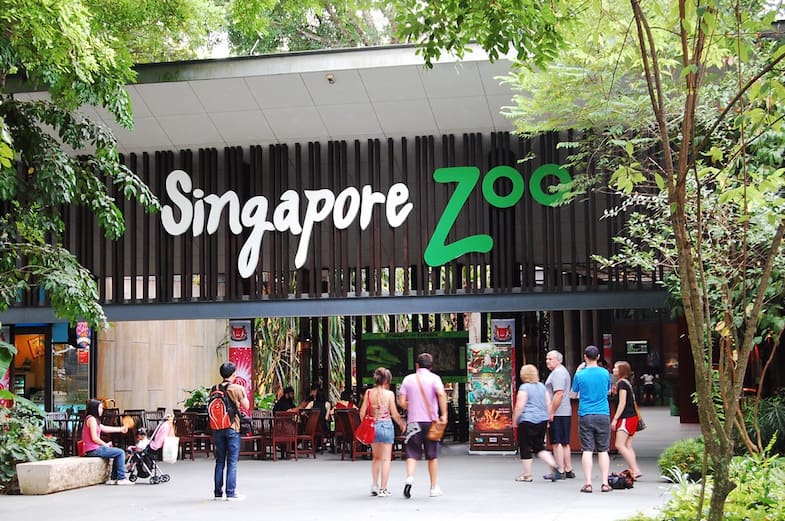 Las 12 mejores cosas que hacer cuando visitas Singapur