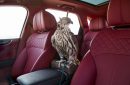El nuevo Bentley Bentayga Falconry by Mulliner
