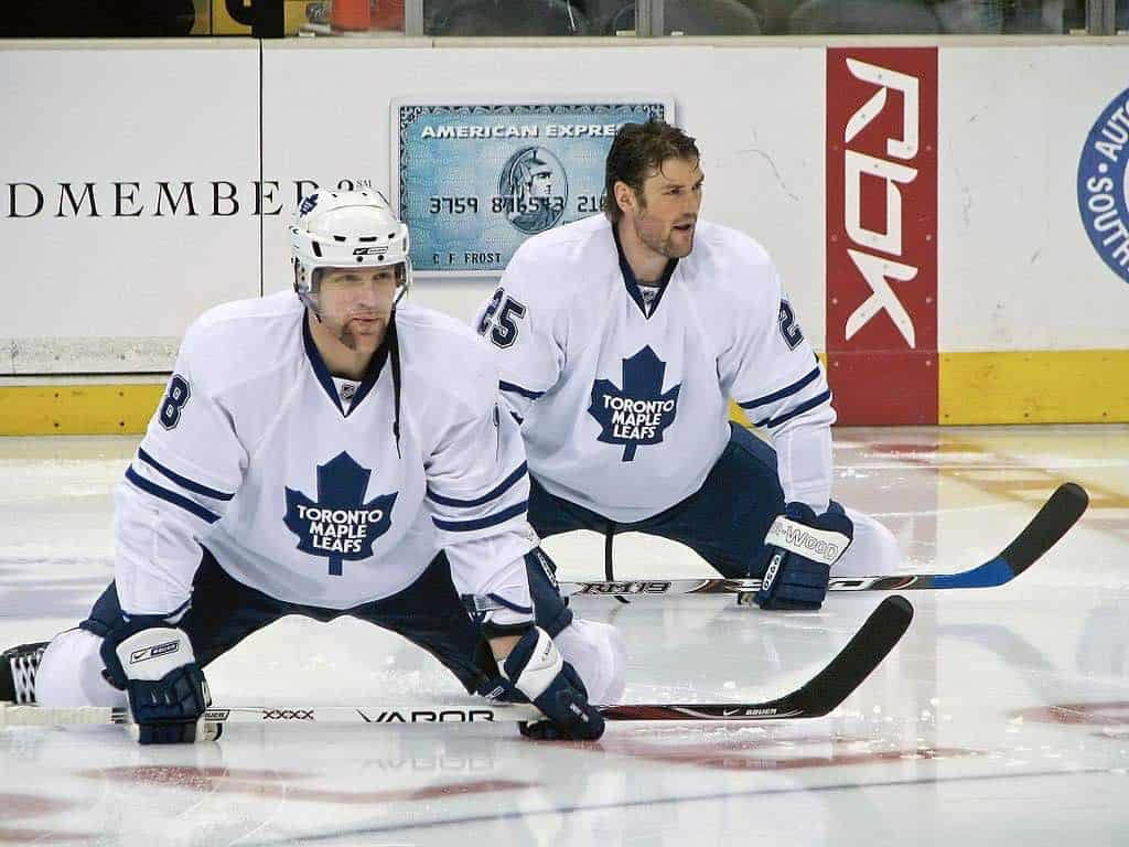 Podrías comprar los Toronto Maple Leafs