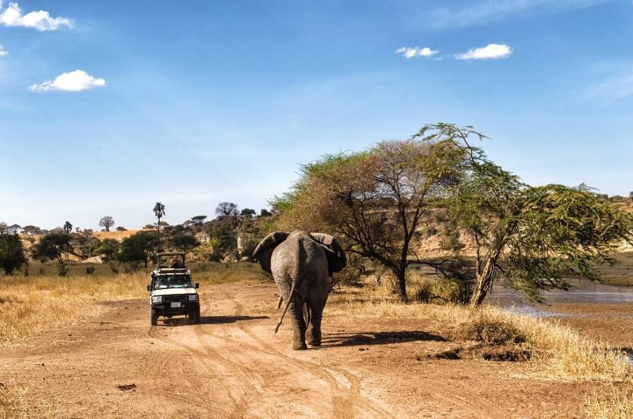 Aventuras y safaris de lujo en África