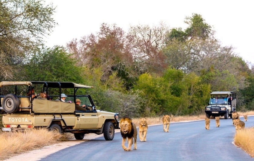 Aventuras y safaris de lujo en África