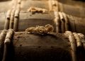 Las tierçon: barricas centenarias que resguardan el sabor de LOUIS XIII