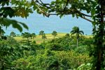 Amarena: Un verdadero paraíso terrenal ubicado en la República Dominicana