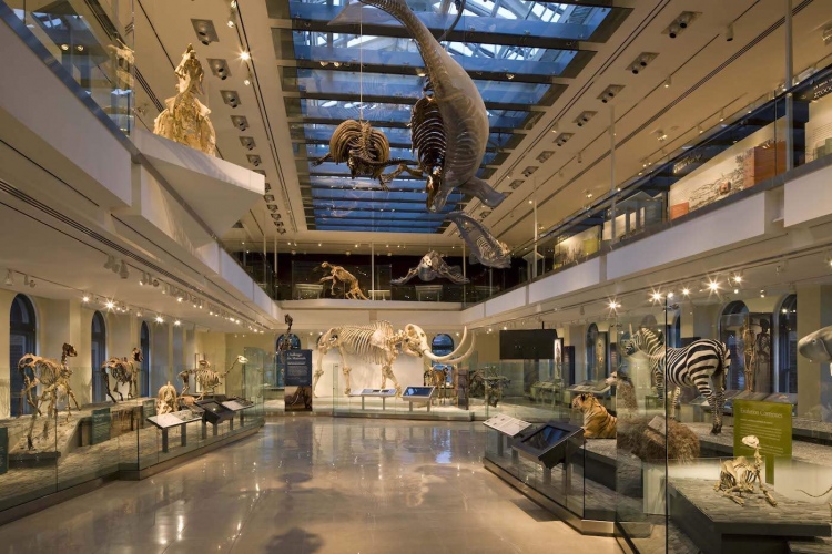 Museo de Historia Natural Los Ángeles