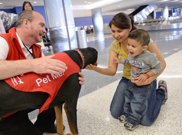 Un programa antiestrés con cachorros está disponible en LAX