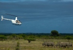 ROAR AFRICA Emirates Executive Private Jet Safari