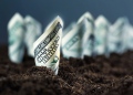 Dólares americanos crecen en el suelo