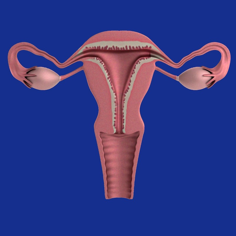 Psicofertilidad Natural explica cómo evitar el síndrome de ovario poliquístico