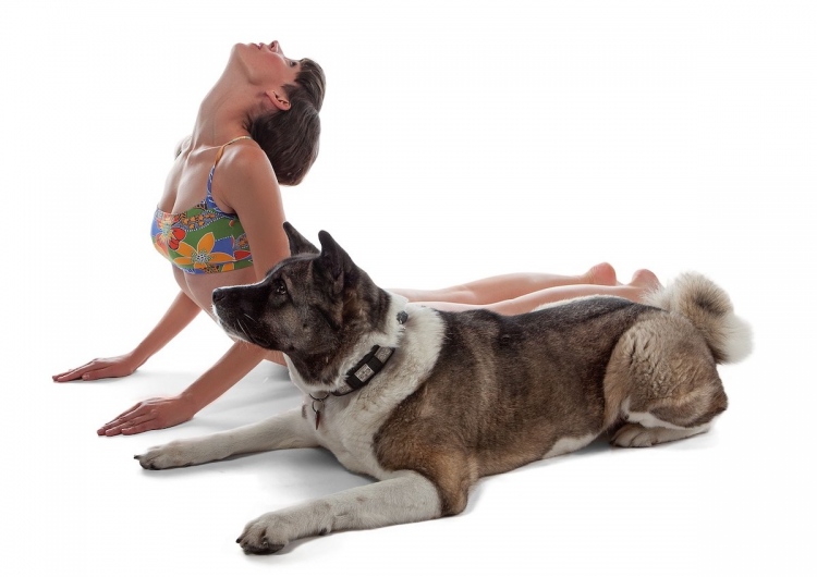 Yoga con Perro