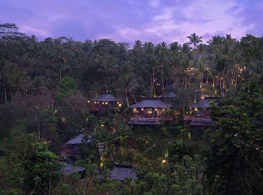 Exclusivo campamento construido entre árboles en un espacio remoto, rodeado por naturaleza y arrozales en Bali.