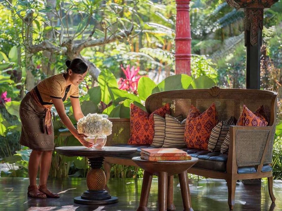 Exclusivo campamento construido entre árboles en un espacio remoto, rodeado por naturaleza y arrozales en Bali.