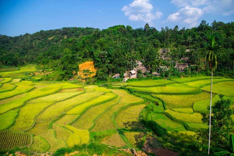 Valle de Muong Thanh