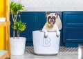 Barkyn Home, un innovador dispositivo basado en IA que aprende de los hábitos alimenticios de los perros para mejorar su salud.