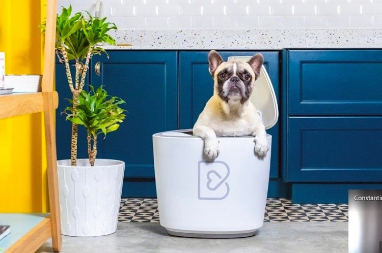 Barkyn Home, un innovador dispositivo basado en IA que aprende de los hábitos alimenticios de los perros para mejorar su salud.