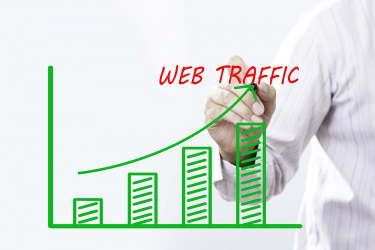 Gráfico de tráfico web, SEO
