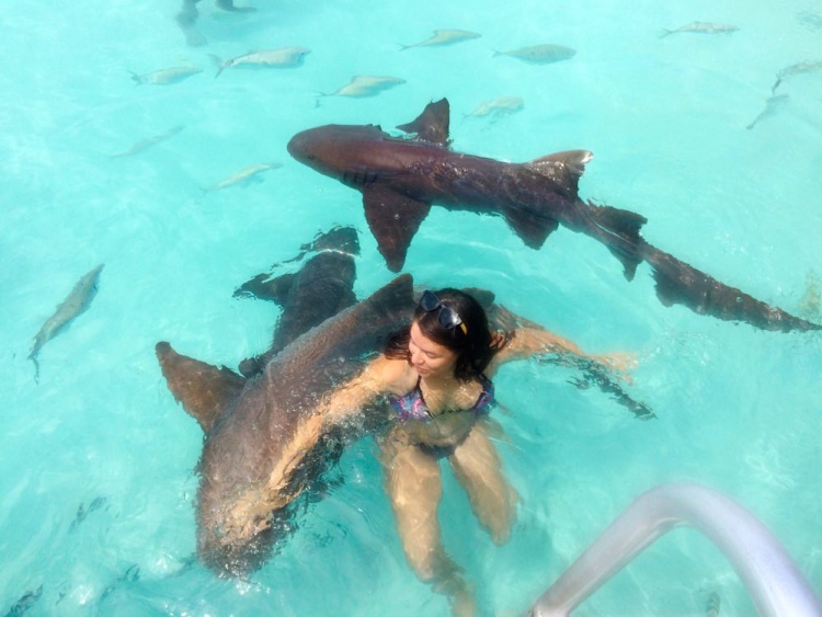 Mujer nadando con tiburones nodriza en Compass Cay, Exuma.