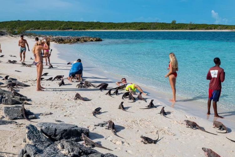 Turistas visitando la playa de las iguanas en Allen's Cay, Gran Exuma.
