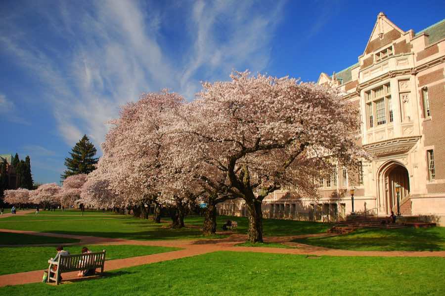 Washington University, una de las universidades privadas más caras de Estados Unidos.